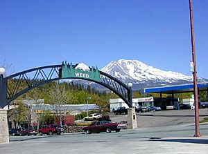 Entrance to Weed in 2004, with Mount Shasta in the background.