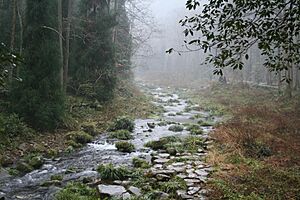 ZhangJiaJie River 1