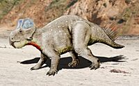 Zhuchengceratops NT.jpg