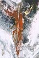 'Angel III', --Monotyping-monotype-- on paper by --Stephen De Staebler--, 1995