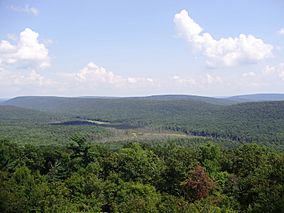 2012-08-22 View of Bear Meadows in Pennsylvania in Rothrock State Forest from the Mid-State Trail to the northwest.jpg