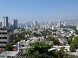 Acapulco zona hotelera 02