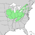 Acer nigrum range map 1