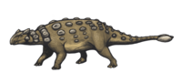 Ankylosaurus magniventris reconstruction.png