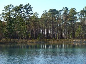 Apalachicola pond