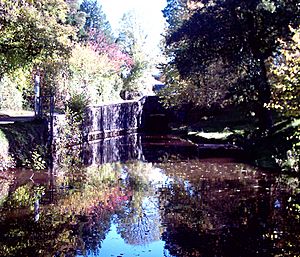 Approaching the northern portal of Ashford Tunnel on the Brecknock and Abergavenny Canal