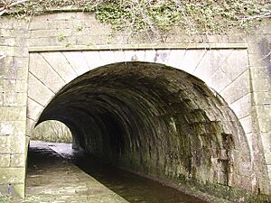 Aqueduct over Stainton Beck - geograph.org.uk - 142366