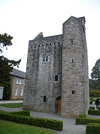 Ashtown Castle1