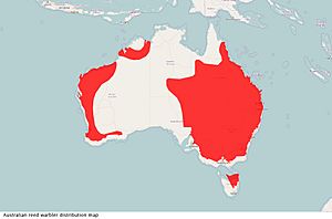 Australian reed warbler species distribution map.jpg