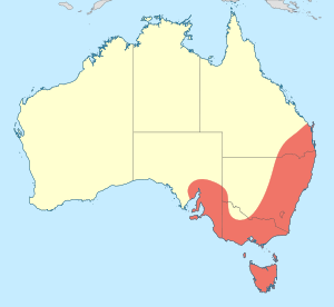 Austroaeschna unicornis distribution map.svg