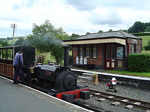 Bala Lake Railway - 2004-07-18