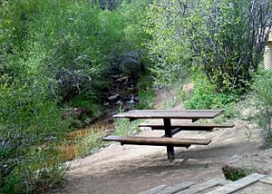 Bear Creek Cañon Park - Bear Creek and Picnic Area
