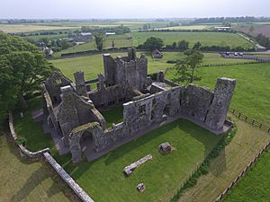 Bective Abbey from the Sky