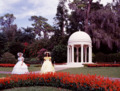 Belles at Cypress Gardens theme park, Winter Haven, Florida LCCN2011631843
