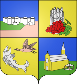 Blason braud et saint louis 33