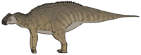Bonapartesaurus rionegrensis.png