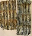 Burunduk fur-skins