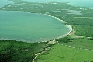 Ceiba State Forest Natural Reservef