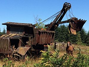 Chimacum Rustic Folk Art