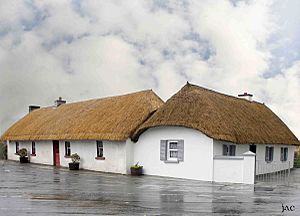 Thatched building in Clogh