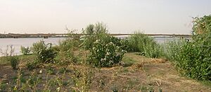 Confluence of Nile (Khartoum) 001 (cropped)