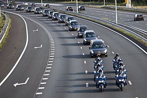 Convoy of MH-17 victims on the highway
