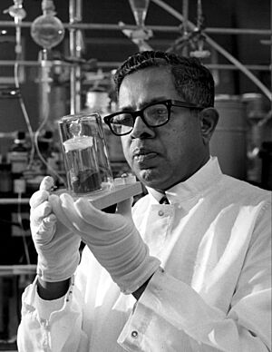 Cyril Ponnamperuma analyzing a moon sample