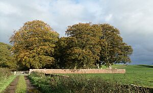Dalgarnock burial ground, Thornhill, Dumfries & Galloway