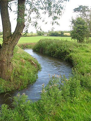 Delvin River at Gibblockstown, Co. Meath - geograph.org.uk - 1764585.jpg
