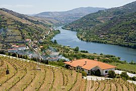 Douro valley (3913265326)