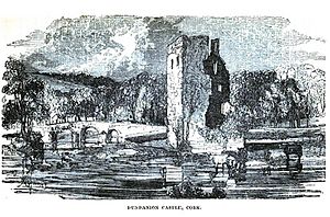 Dundanion Castle Blackrock Cork.jpg