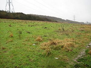 Dunstable, Cottage Bottom Fields Local Nature Reserve (2) - geograph.org.uk - 657349