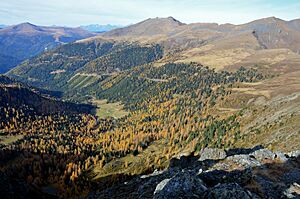 Eisenhut und Wintertalernock 25102013 659