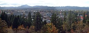 Eugene panorama (cropped).jpg