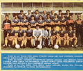 FC Petrolul Ploiești 1988-89