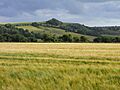 Farmland above Stockley - geograph.org.uk - 1564937