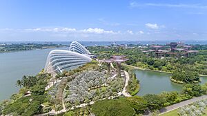 Flower Dome and Cloud Forest Singapore (36712606096)