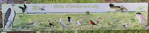 Fogg Dam signs - Birds of Banks and Sky (2)