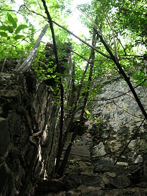 Fort Purcell, Tortola (1)