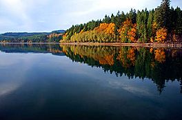 Foster Reservoir (Linn County, Oregon scenic images) (linnDA0050a).jpg