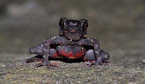Front view and Posture