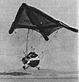 Gemini paraglider