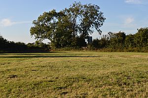 Hemingford Grey Meadow 4.jpg