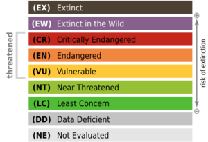 IUCN Kategorien Rote Liste