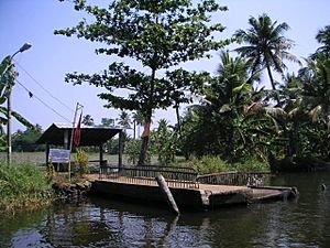 Keralaback (69)