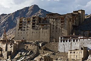 Leh Palace 2011