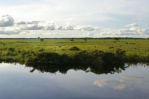 Llanos of Beni