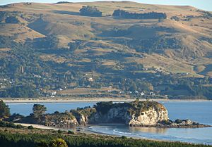 Mapoutahi Pa (Goat Island Blueskin Bay) (4506262890)