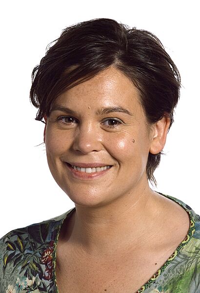 Mary Lou McDonald, 2004
