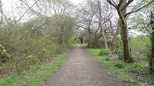 Merton Park Green Walks 5